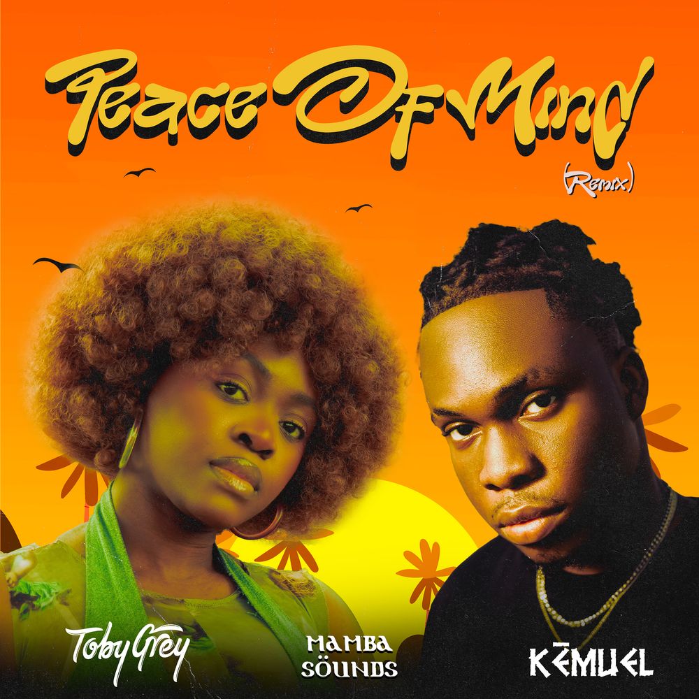 Toby Grey – Peace of Mind (Remix) Ft. Kemuel & Mamba Sounds