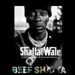 Shatta Wale – Beef Shatta